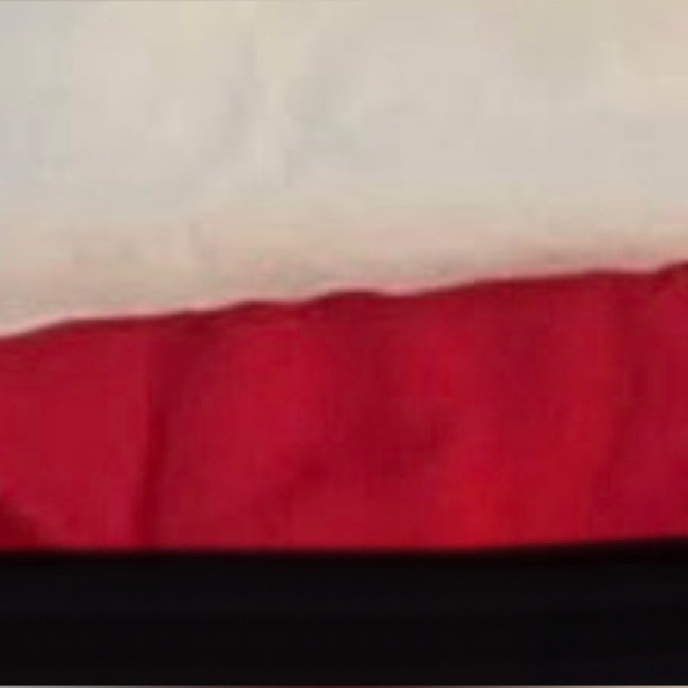 Pashmina scarves
